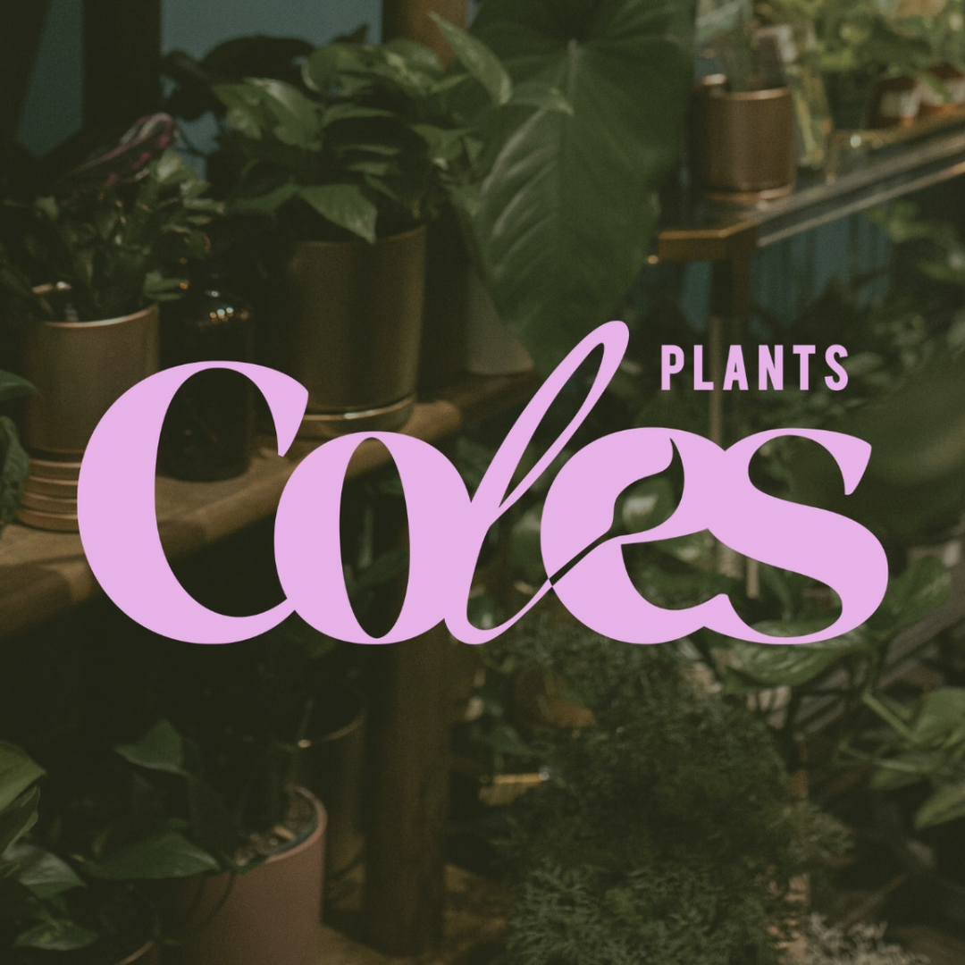 Celebrating BlackOwned Businesses In The Short North Arts District